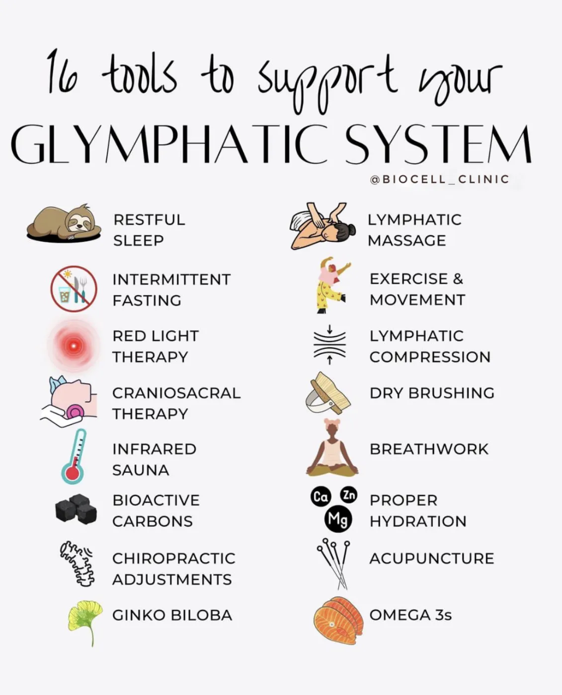 Glymphatic System
